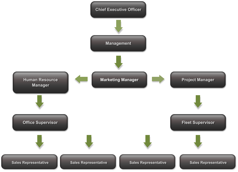 Human Resource Manager Office Supervisor  Project Manager Fleet Supervisor Chief Executive Officer    Management  Marketing Manager  Sales Representative  Sales Representative  Sales Representative  Sales Representative